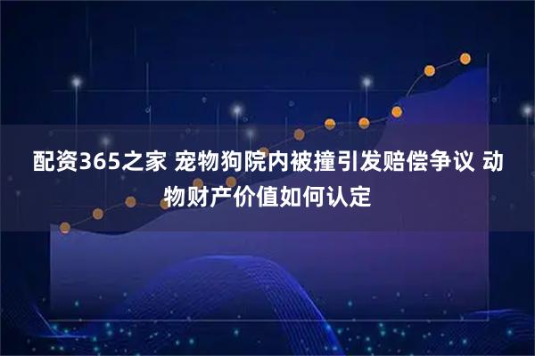 配资365之家 宠物狗院内被撞引发赔偿争议 动物财产价值如何认定