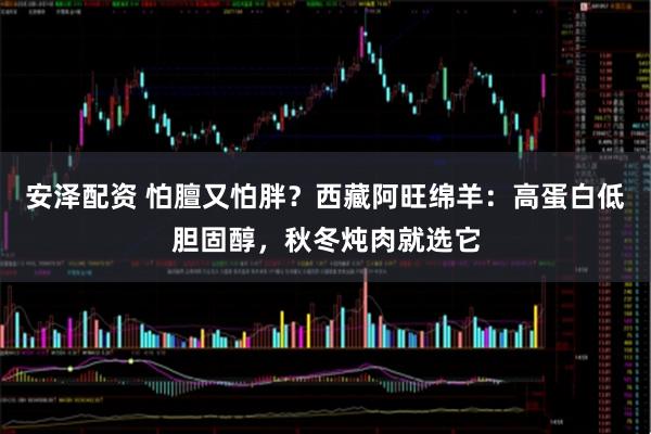 安泽配资 怕膻又怕胖？西藏阿旺绵羊：高蛋白低胆固醇，秋冬炖肉就选它